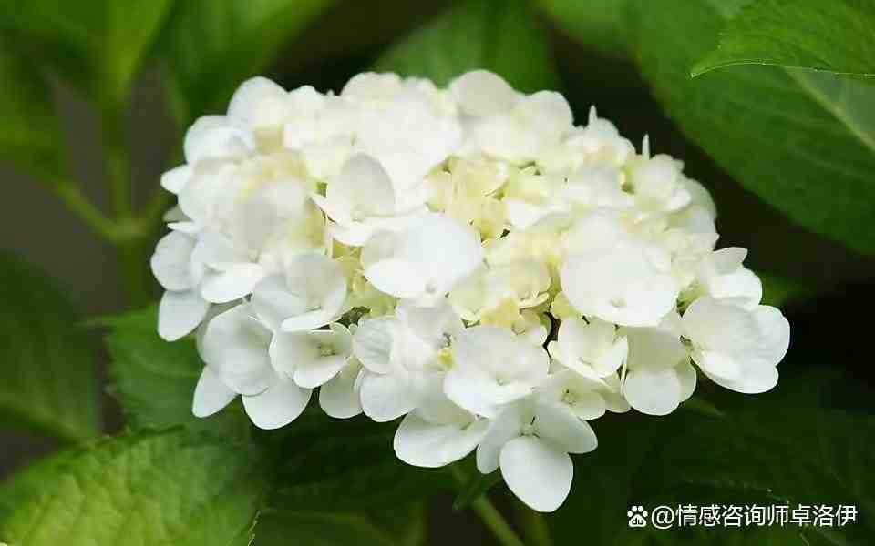 婚姻的真相,有钱有情才能走得长远,你对人性了解有多少休闲区蓝鸢梦想 - Www.slyday.coM 婚姻的真相,有钱有情才能走得长远,你对人性了解有多少休闲区蓝鸢梦想 - Www.slyday.coM