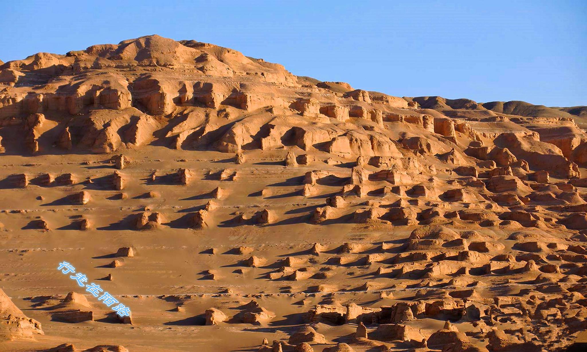 全球最热地区:小麦被烤焦,有水不能喝,沙漠都裂开了|卢特|沙漠|小麦
