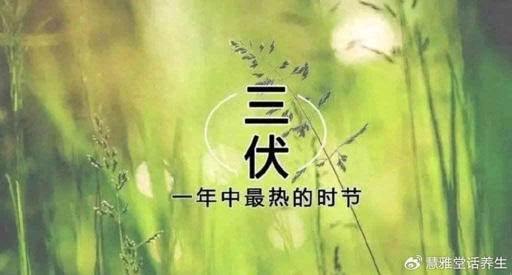 2024年的“三伏天”在哪天入伏,哪天出伏?这段时间有什么讲究?