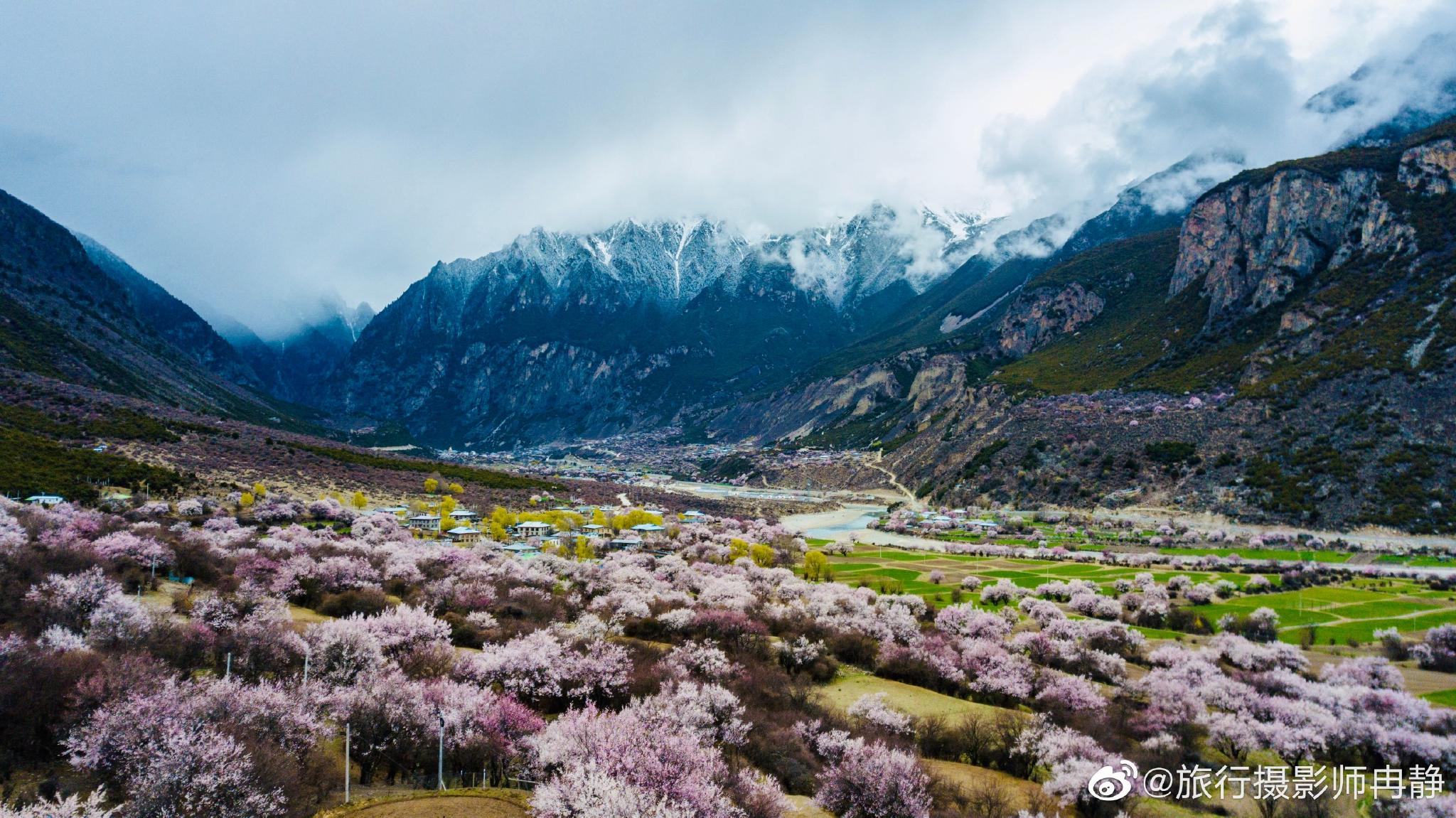 尼屋乡山谷溪流之间屋前村后农田绿油桃花盛开