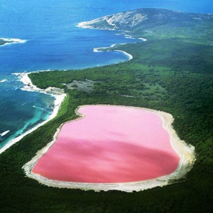 澳大利亚的粉色湖泊,赫利尔湖,颜色像草莓奶昔!__财经头条
