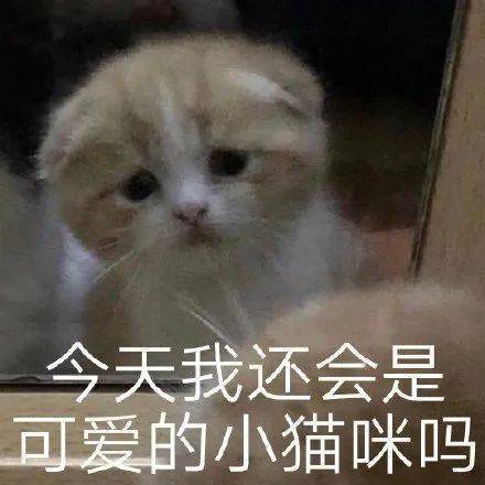 表情包 | 心虚离开 拿图点赞、吱声__财经头条