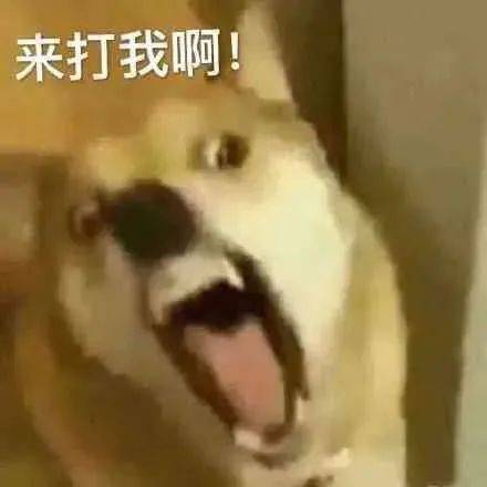表情包 | 心虚离开 拿图点赞、吱声__财经头条