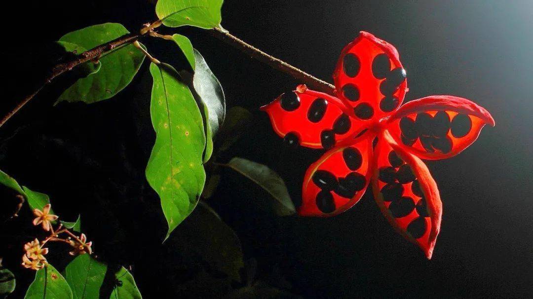 冬至休闲区蓝鸢梦想 - Www.slyday.coM 冬至休闲区蓝鸢梦想 - Www.slyday.coM