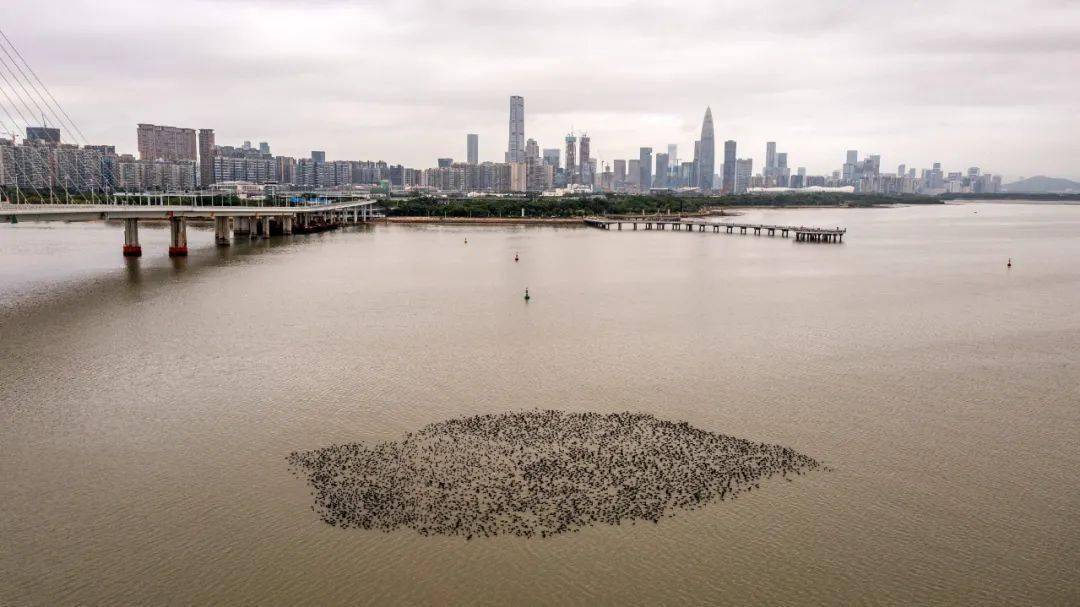 冬至休闲区蓝鸢梦想 - Www.slyday.coM 冬至休闲区蓝鸢梦想 - Www.slyday.coM