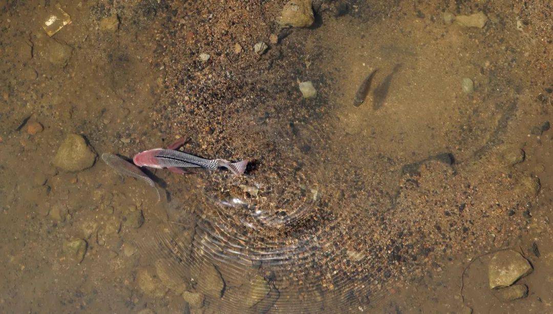 冬至休闲区蓝鸢梦想 - Www.slyday.coM 冬至休闲区蓝鸢梦想 - Www.slyday.coM