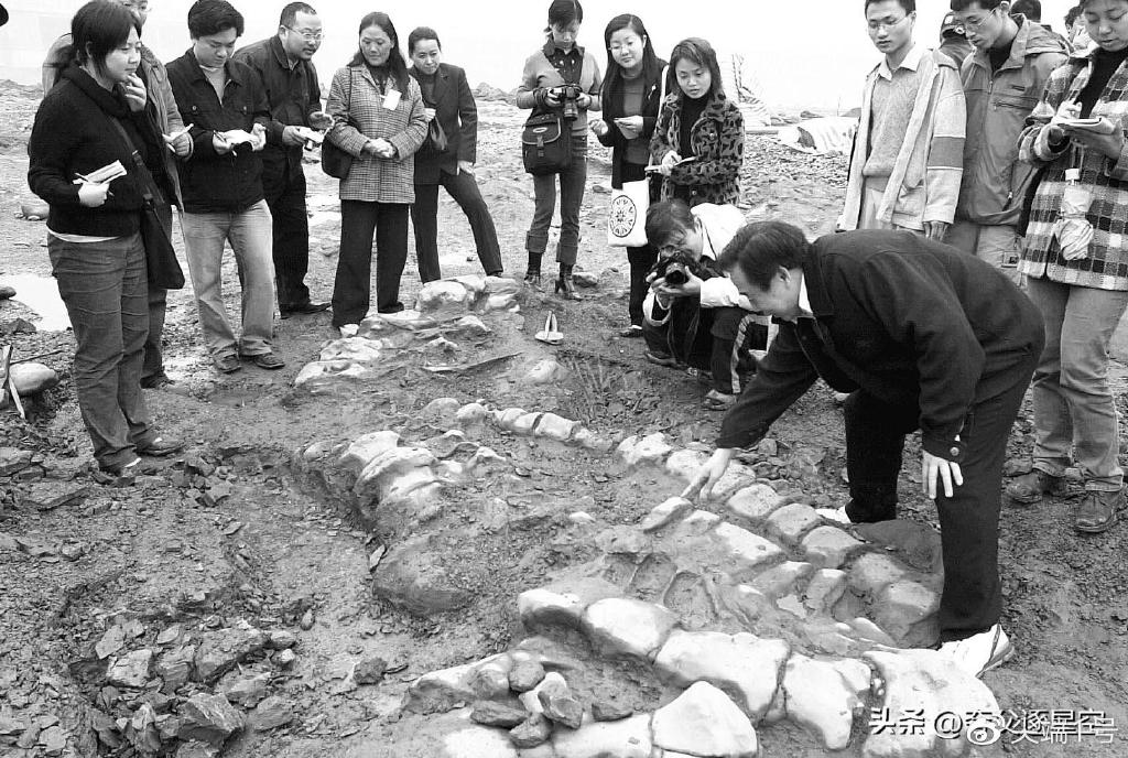 十二生肖对应生物都曾存在过?湖南邵阳石地村修路挖出“龙爪”化石