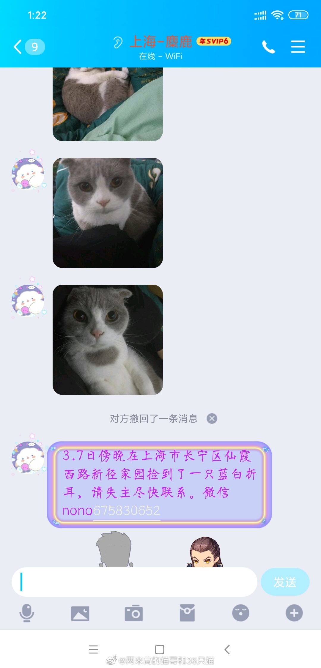 3月7日傍晚在上海市长宁区仙霞西路新径家园捡到了一只蓝白折耳 3月7日傍晚在上海市长宁区仙霞西路新径家园捡到了一只蓝白折耳