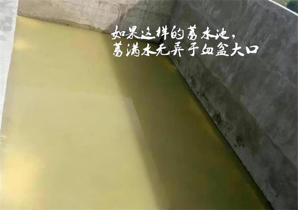 儿童落水亲属相继施救，六人陆续溺亡，亲人就算送死也要去救孩子休闲区蓝鸢梦想 - Www.slyday.coM
