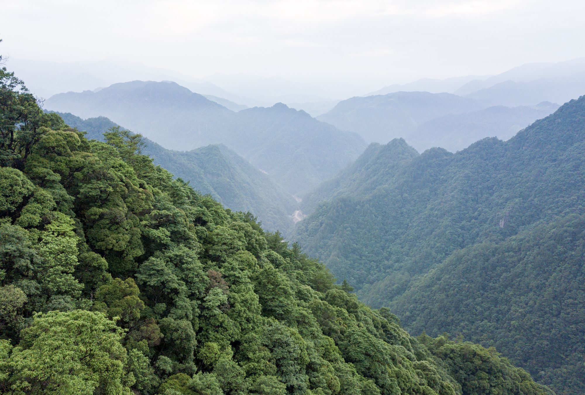 溫州銅鈴山國家森林公園素有小九寨之稱週末度假好去處