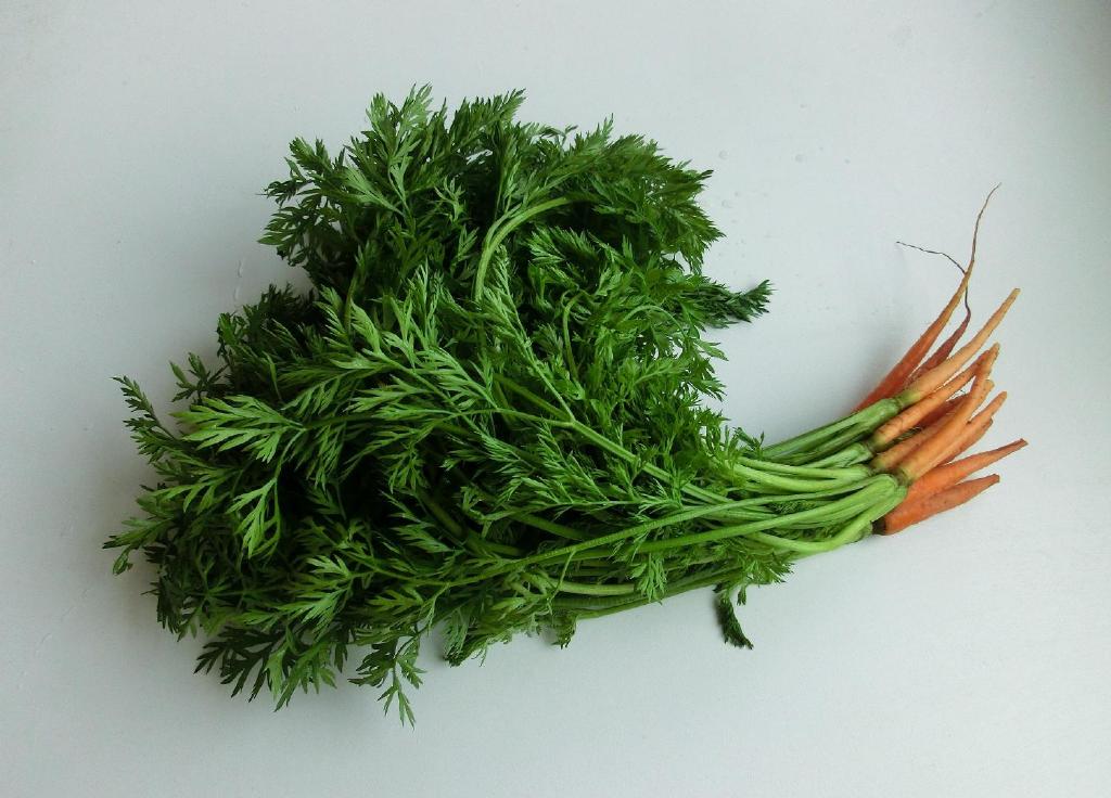 场买胡萝卜的时候,都会发现胡萝卜的根部被商贩剪掉,它们经常当成"