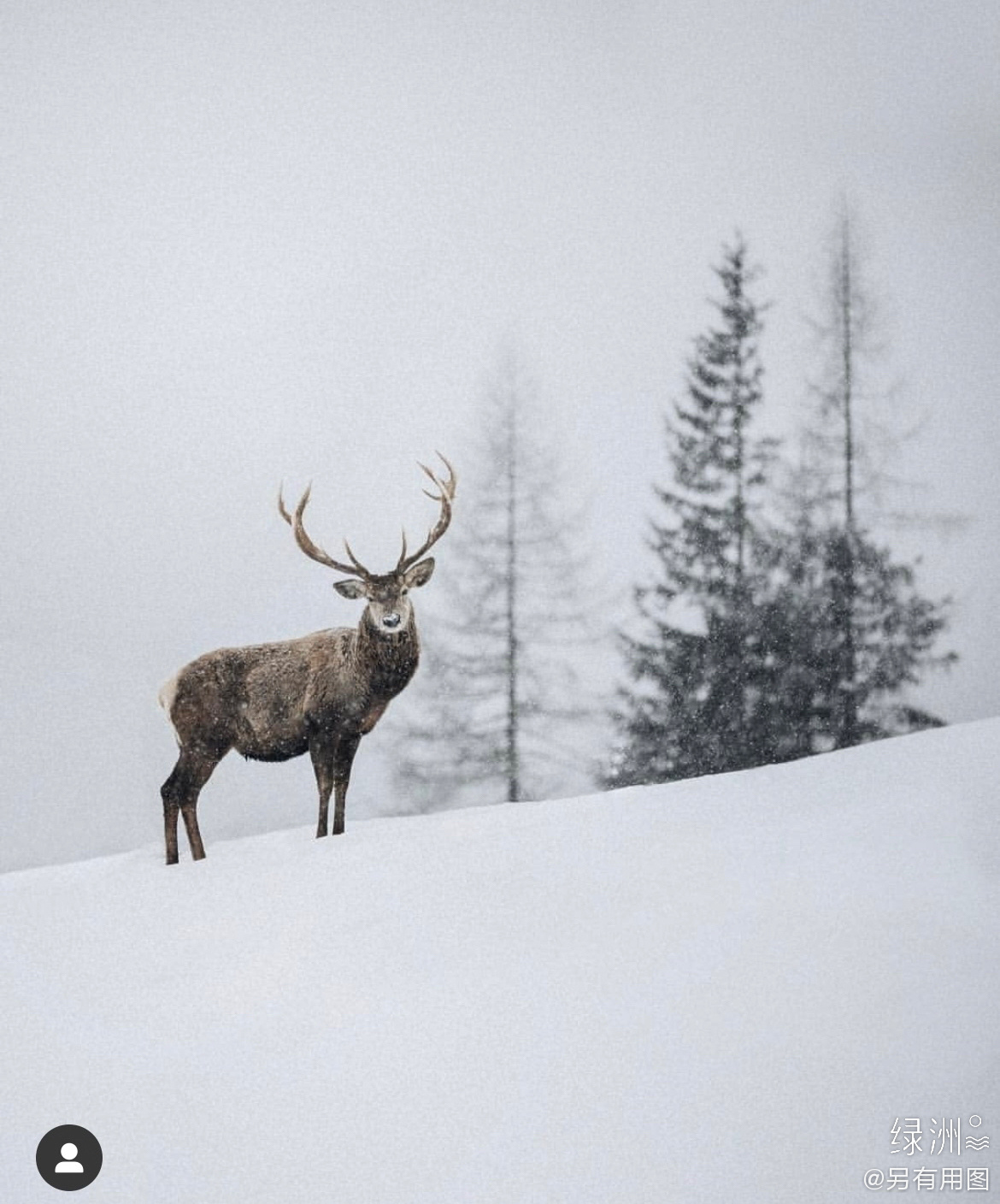 超美的北欧小木屋北欧冬季里雪覆盖了大地森林这些小木屋