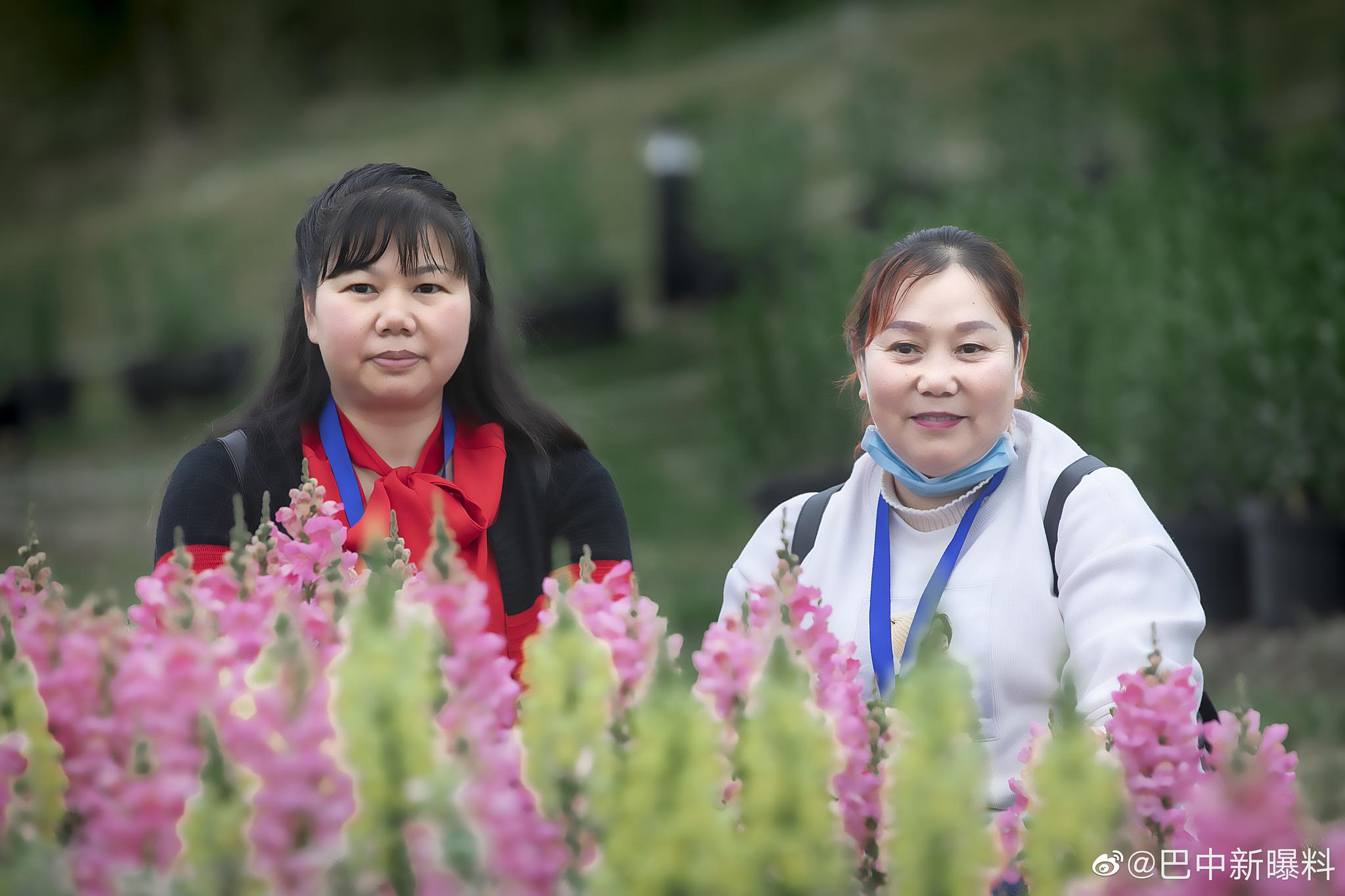 最美人间4月天,阳光户外遂宁游……巴中逸品旅游公司