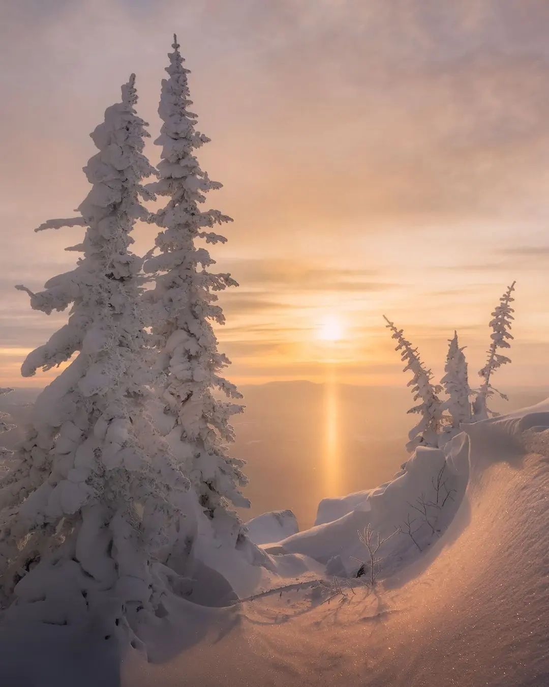 俄罗斯,西伯利亚的雪景_高清图集_新浪网