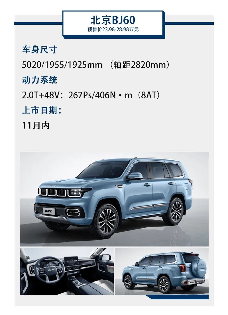 11月必看的SUV，全是经济适用车，闭眼冲都不怕买错！