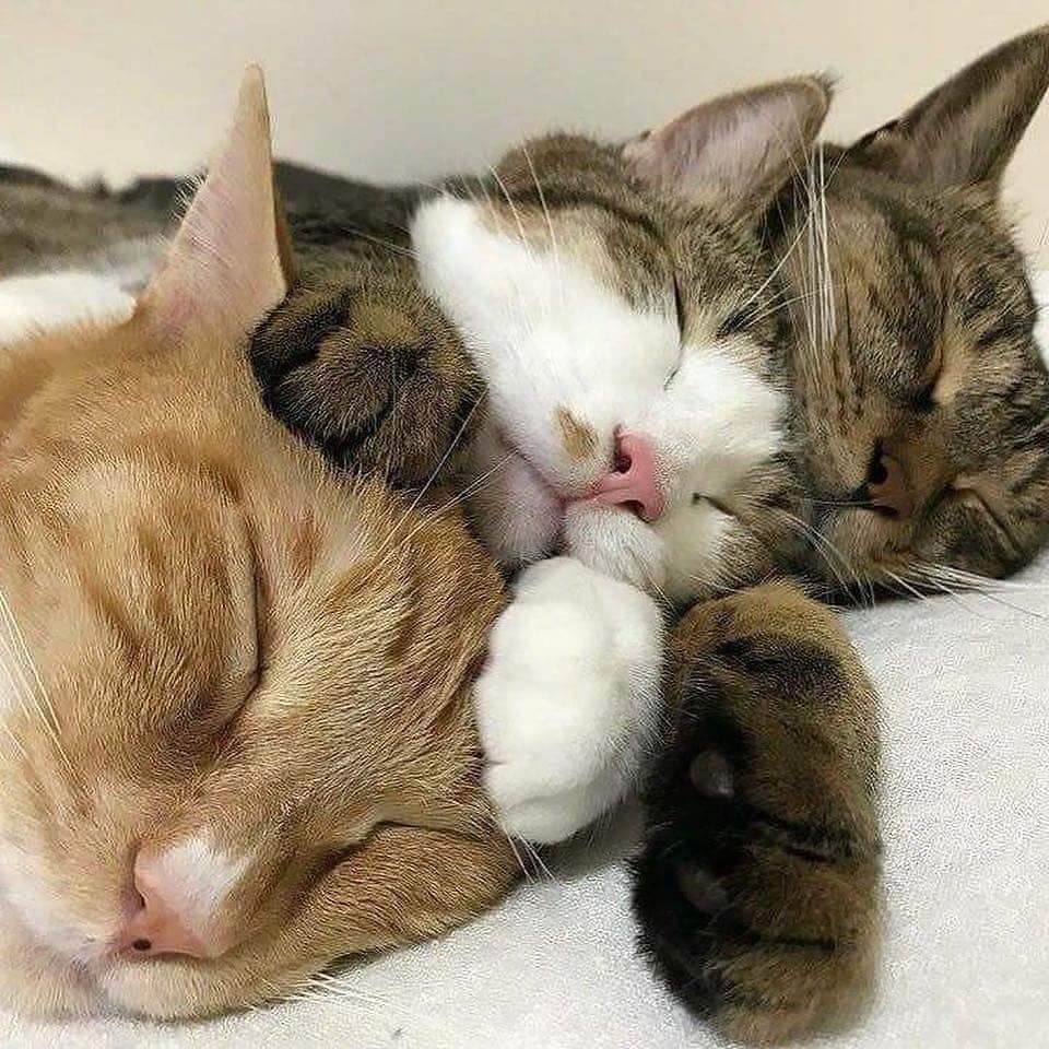 对皮肤好的小习惯