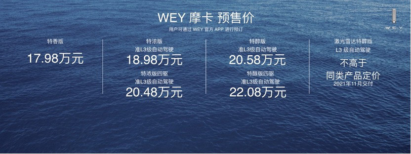 姚安娜站台,wey摩卡预售17.98万起-新浪汽车