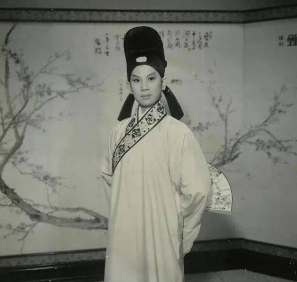 83岁凌波与85岁金汉罕露面,结婚57年恩爱如初,移民多年生活幸福