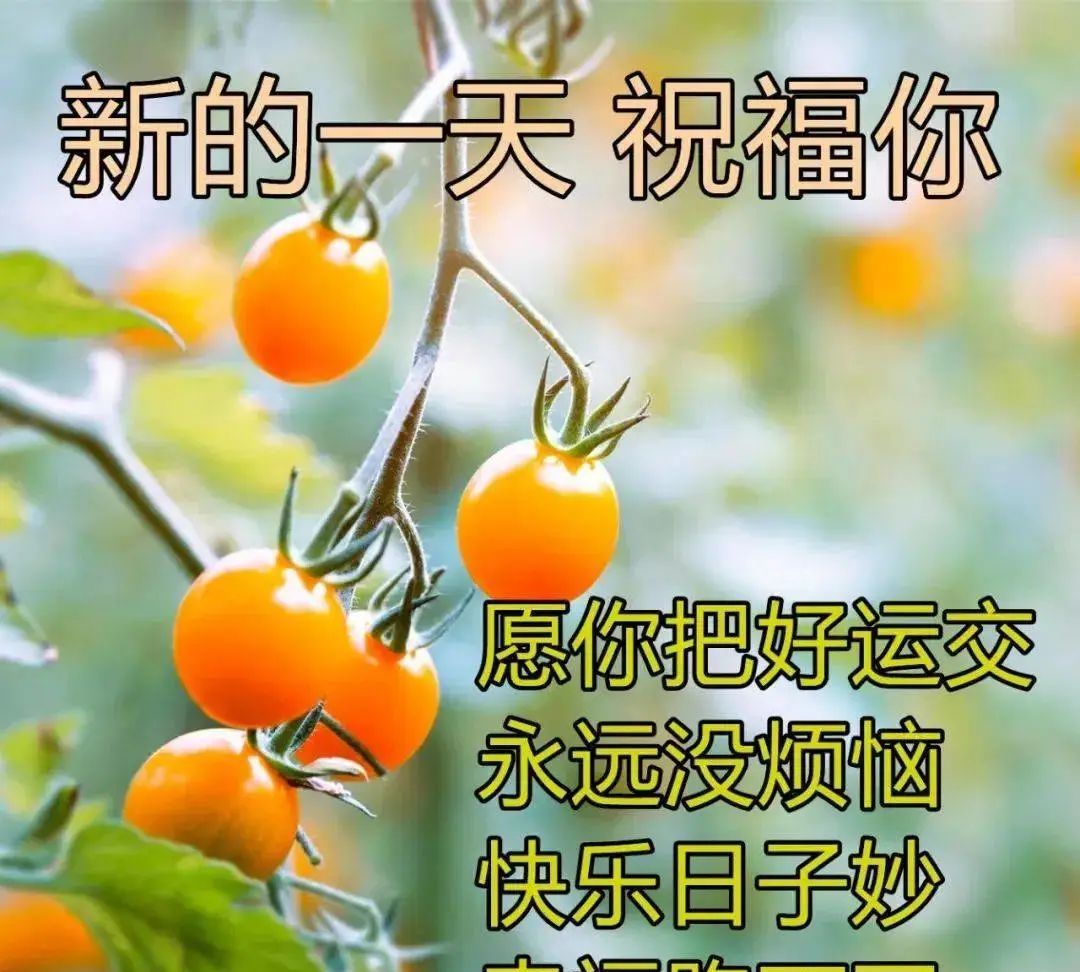 最新最漂亮的早安问候祝福语图片带字温馨早安问候语图片