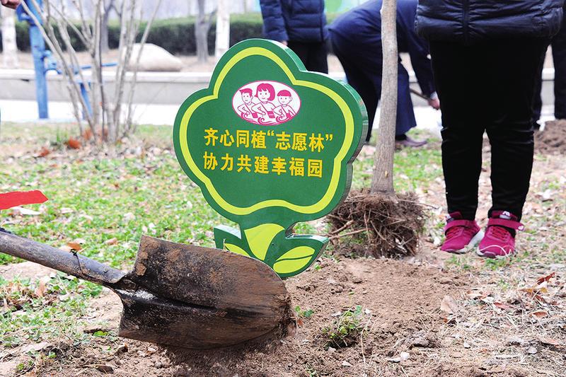 黄河大妈同植志愿林共建幸福家园