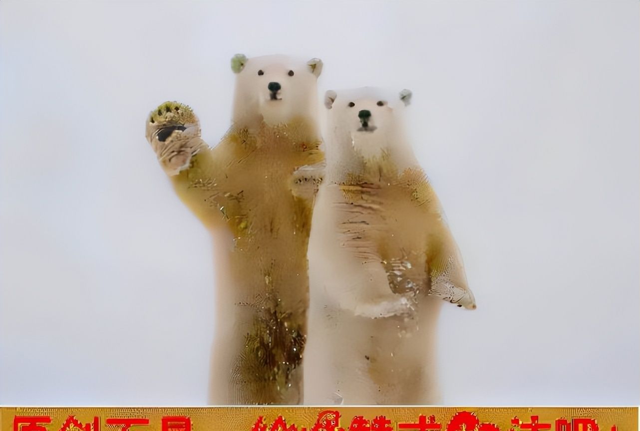 考研究生反而不好找工作,日本人这点很认真,大家觉得应该学吗?休闲区蓝鸢梦想 - Www.slyday.coM 考研究生反而不好找工作,日本人这点很认真,大家觉得应该学吗?休闲区蓝鸢梦想 - Www.slyday.coM