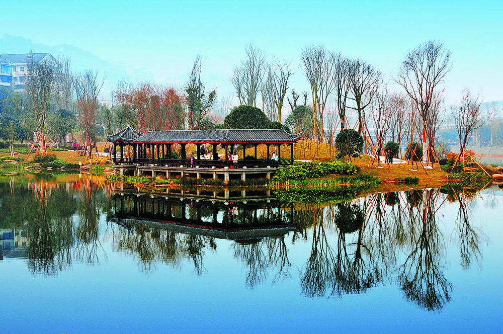 迎龙湖湿地公园曾经荒坡变身美丽打卡地铜锣花谷南岸区天文街道广福