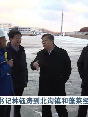 蓬莱区委书记林钰涛到北沟镇和蓬莱经济开发区调研
