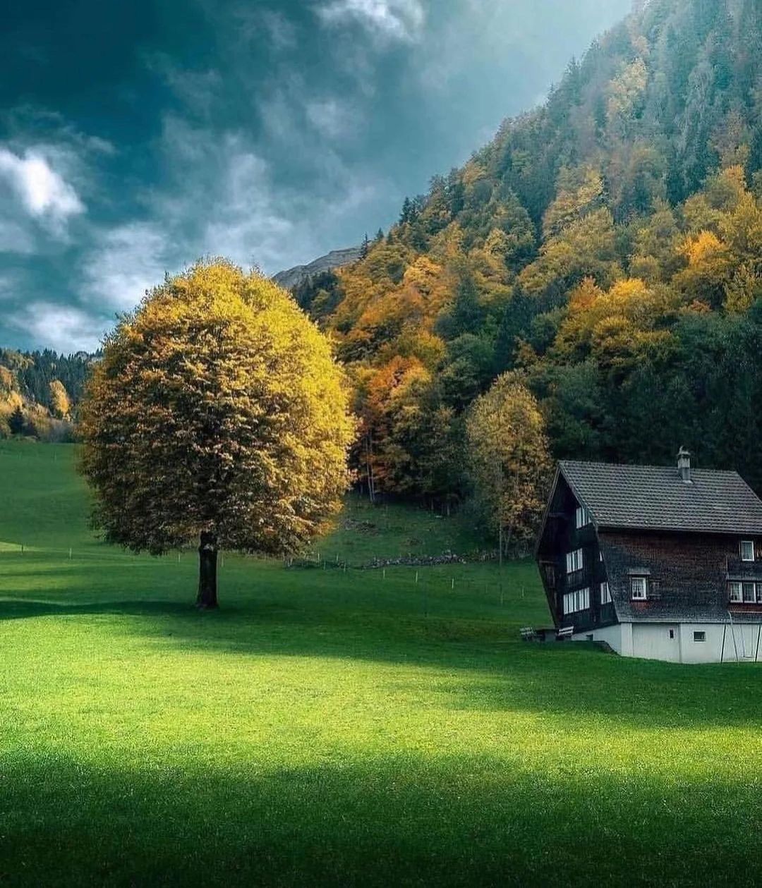 瑞士的风光__财经头条