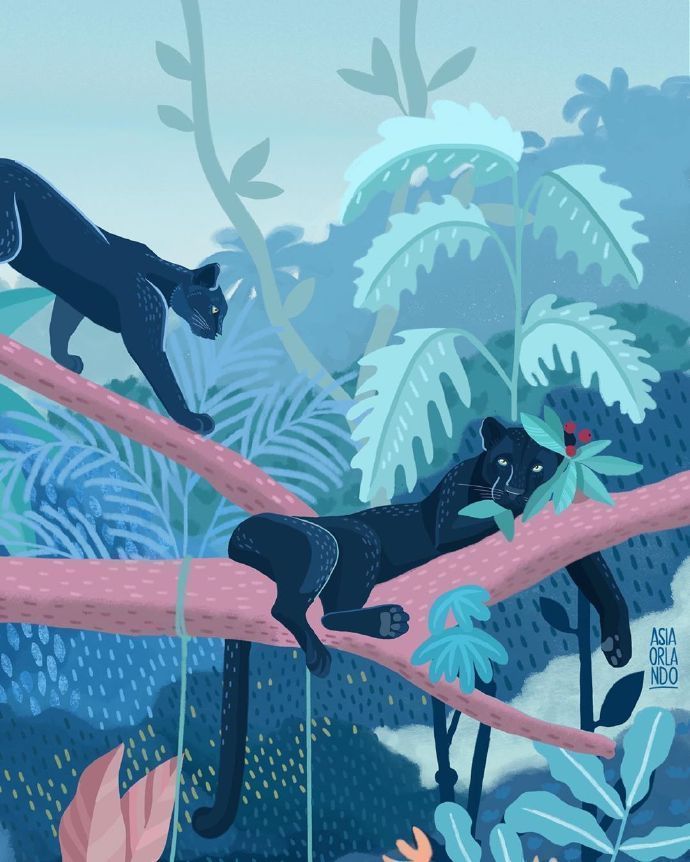 动植物插画 :asia orlando