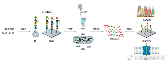 解决数据存储瓶颈！一克DNA可储存2.15亿GB数据，大储量时代到来