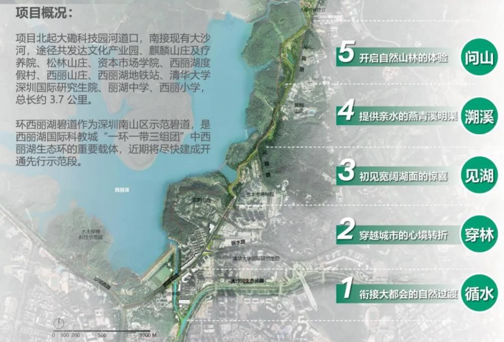 全市首个环湖休闲文化经济共同体 环西丽湖碧道示范段开工建设启动
