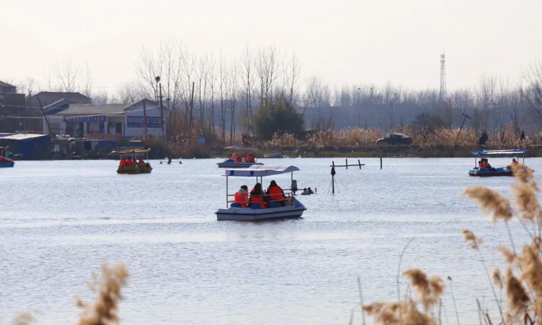 每年春天到来的时候,天龙湖就成为了夏邑人民溜达游玩的"第一选择".
