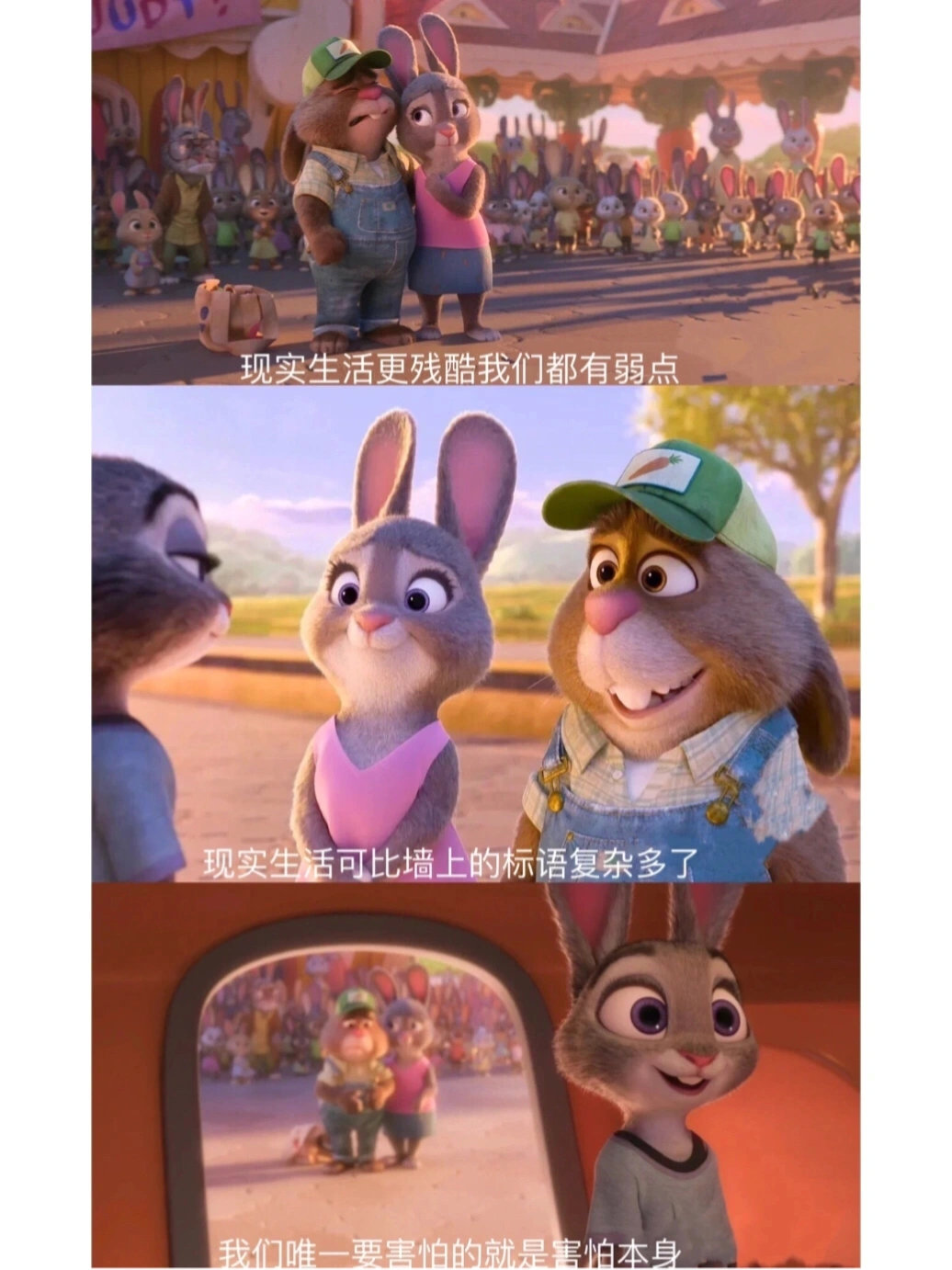 疯狂动物城 》经典台词