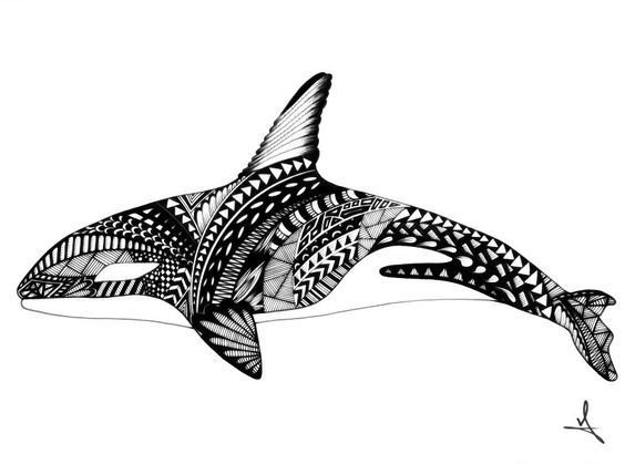 针管笔鲸鱼绘画