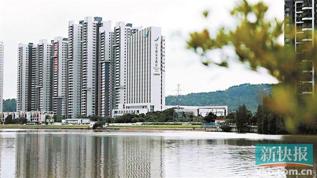 阅海|项目|江景|白天鹅_新浪新闻