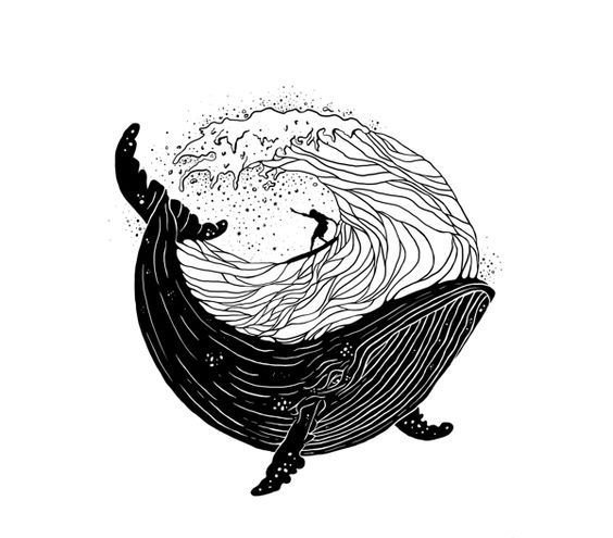 针管笔鲸鱼绘画