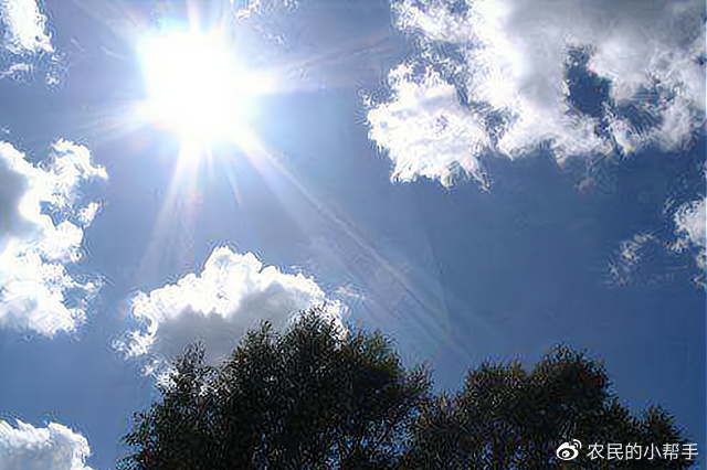 2023年又是“加长版”三伏天!哪天入伏?哪天出伏?时间表来了__财经头条