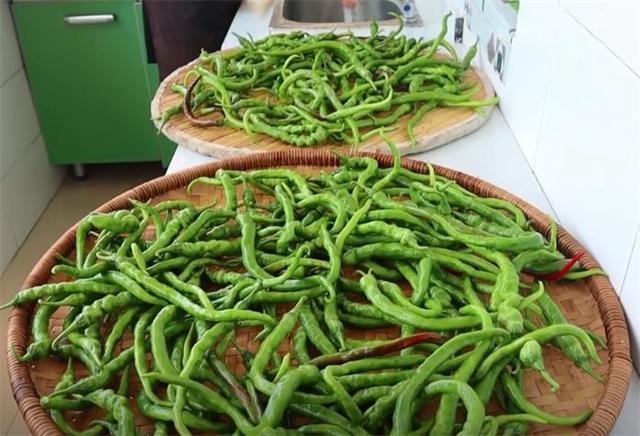 腌辣椒的季节到了,一次买8斤腌制起来,方法简单,吃一年都不坏休闲区蓝鸢梦想 - Www.slyday.coM 腌辣椒的季节到了,一次买8斤腌制起来,方法简单,吃一年都不坏休闲区蓝鸢梦想 - Www.slyday.coM