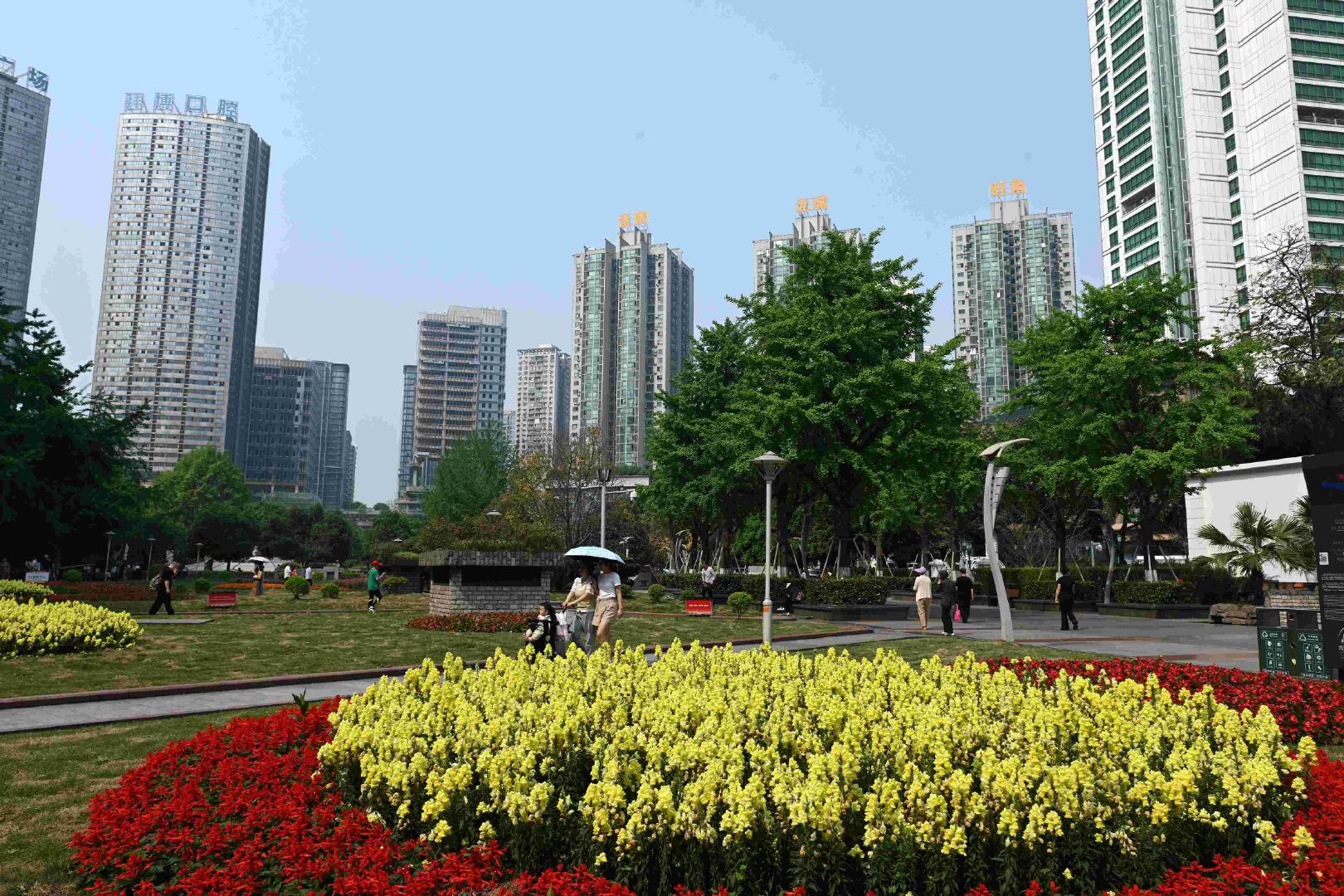 观音桥快餐300半夜500的背后逻辑,重庆夜经济与市井生存法则