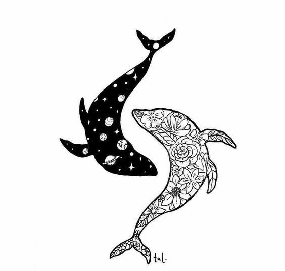 针管笔鲸鱼绘画