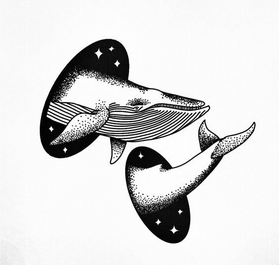 针管笔鲸鱼绘画