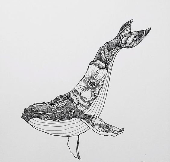 针管笔鲸鱼绘画