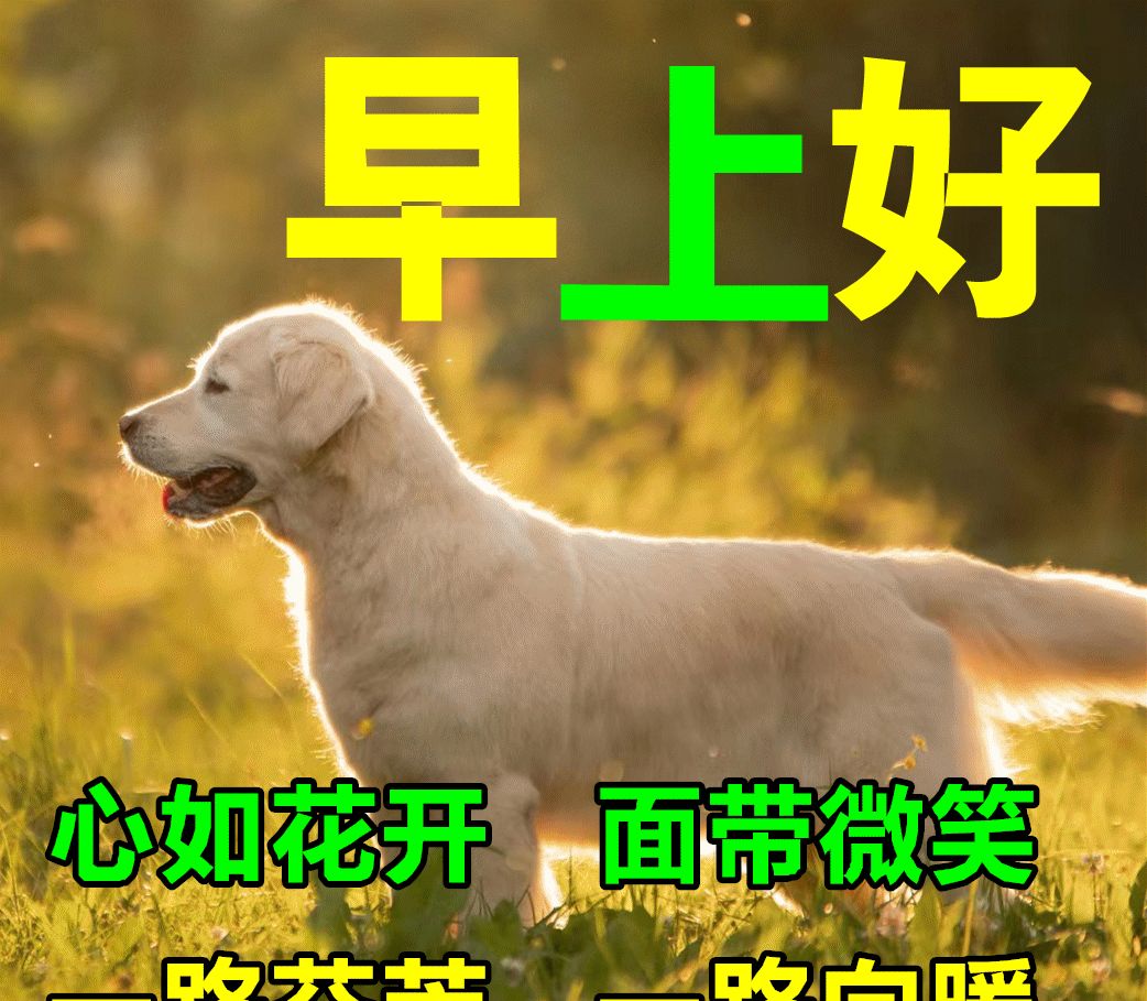 超漂亮的早上好问候短信美图新版温馨问候大家早安漂亮图片