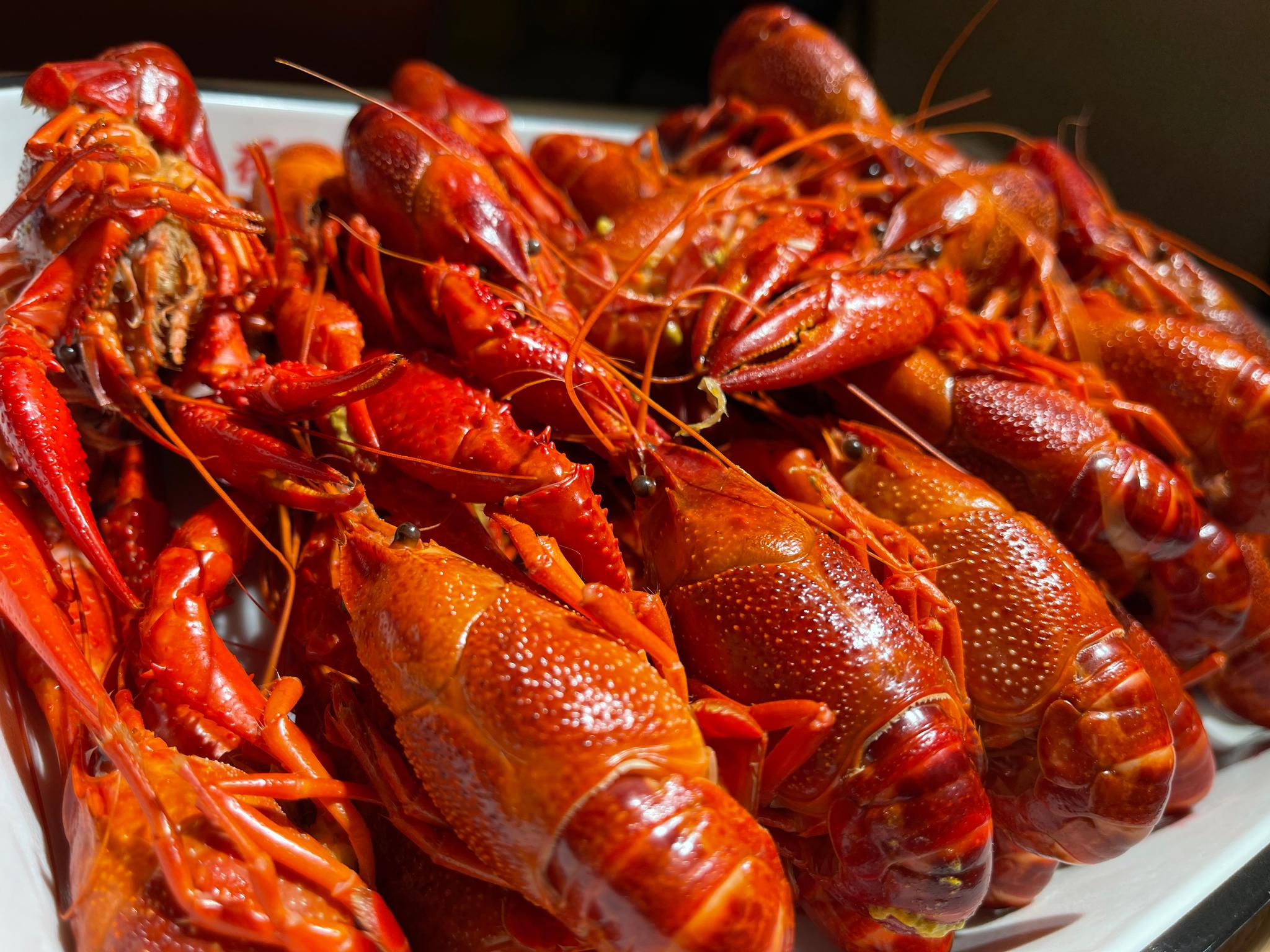 白灼 十三香 麻辣 两个人十斤龙虾 舒服啊 今年的第一顿龙虾