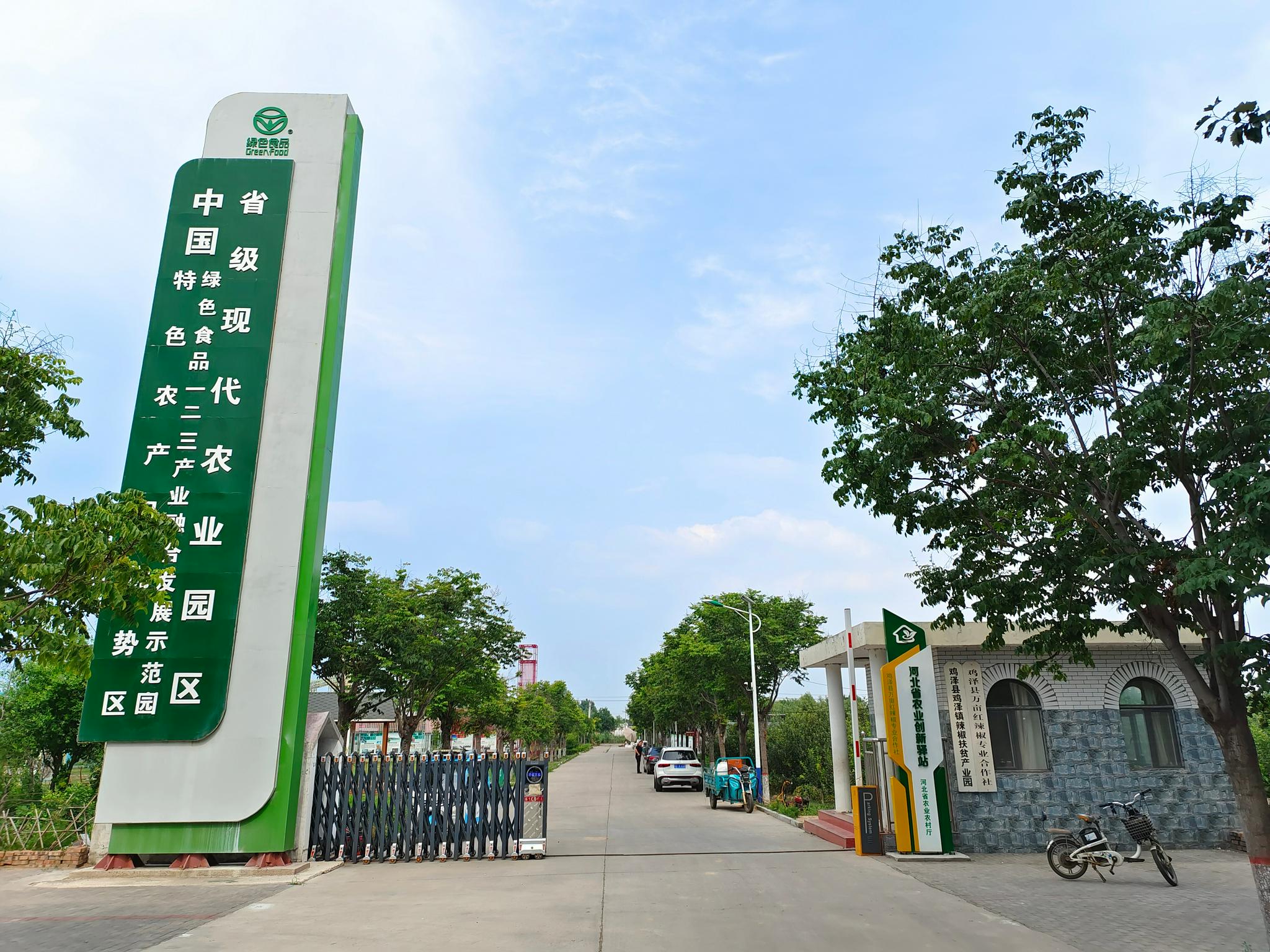 寻味河北 探秘家乡邯郸市鸡泽县致力打造以辣椒产业为主导的国家级