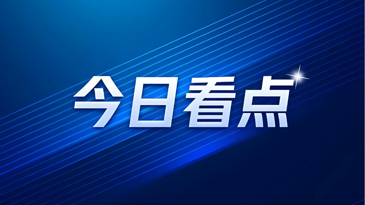 10万左右家用轿车怎么选？速腾L与朗逸的差异化对比