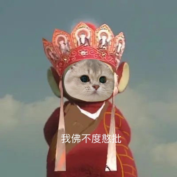小猫咪版天线西游记 67小猫咪版天线西游记 67小