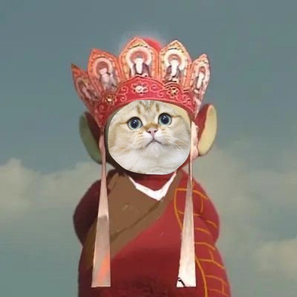 小猫咪版天线西游记__财经头条