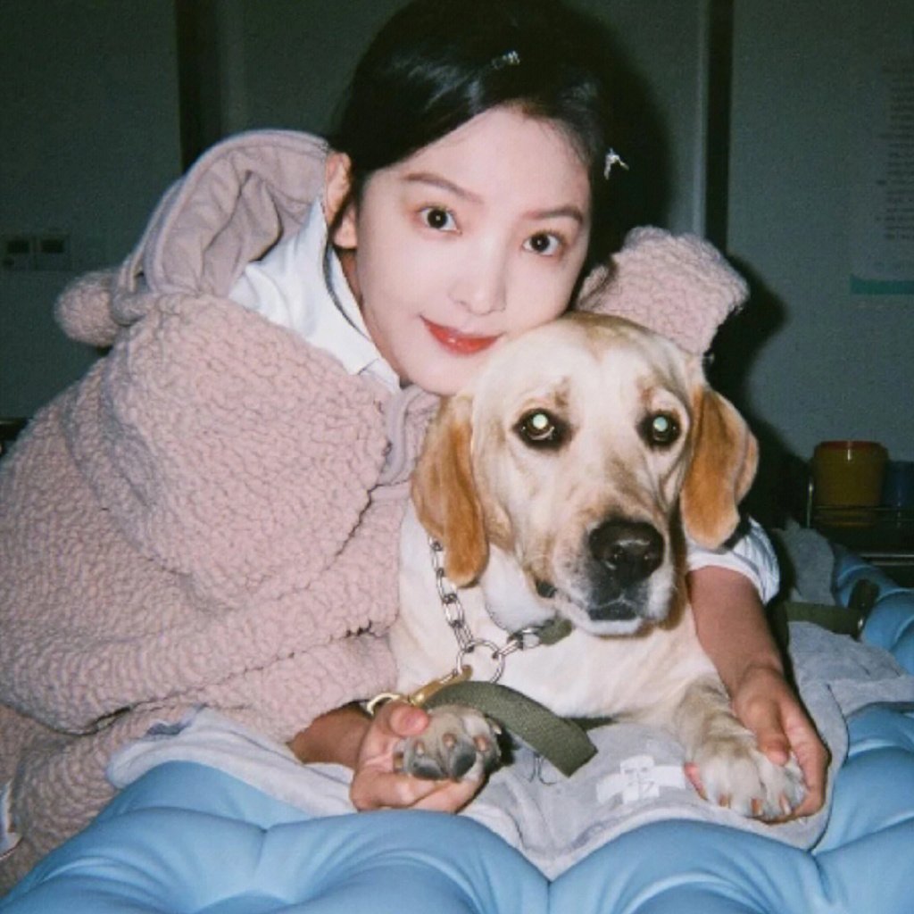 章若楠 头像|头像|章若楠_新浪新闻