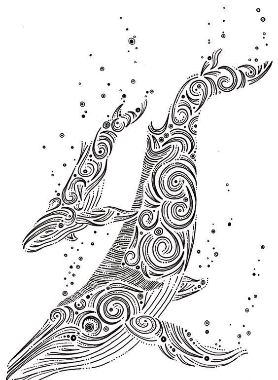 针管笔鲸鱼绘画